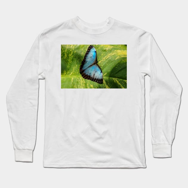 ali almost perfect Long Sleeve T-Shirt by pcfyi